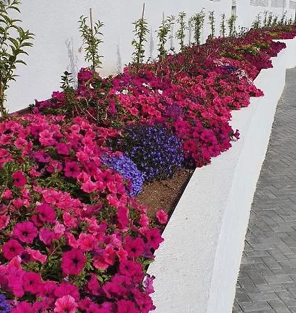 Sunset Waves 136 Lägenhet Benidorm