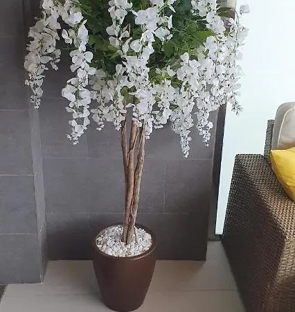 Sunset Waves 136 Apartamento